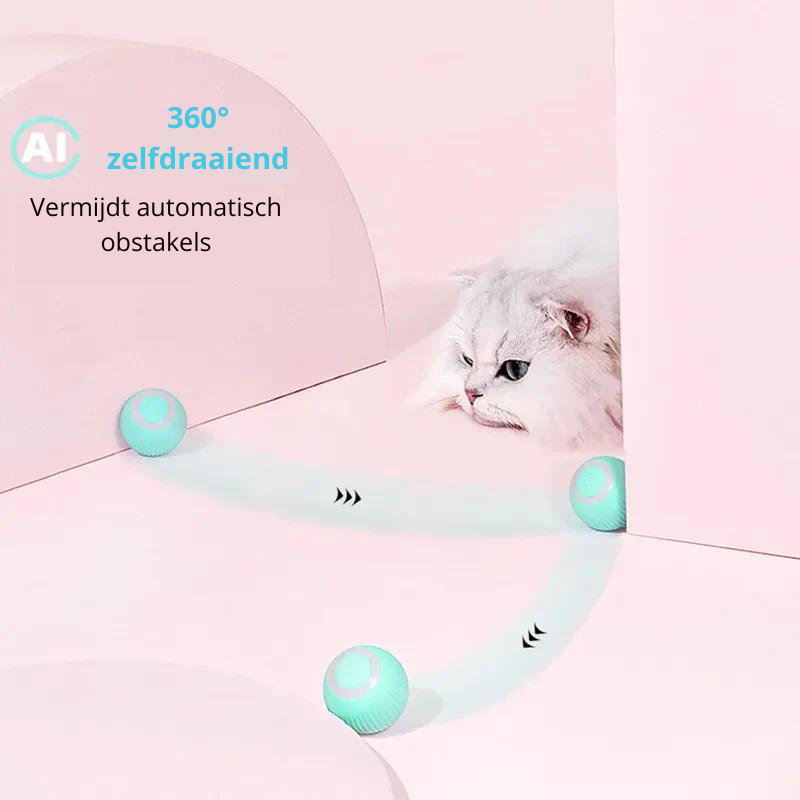 ChasingBall – Katzenspielzeug