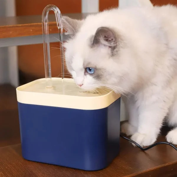 Trinkbrunnen für Katzen.