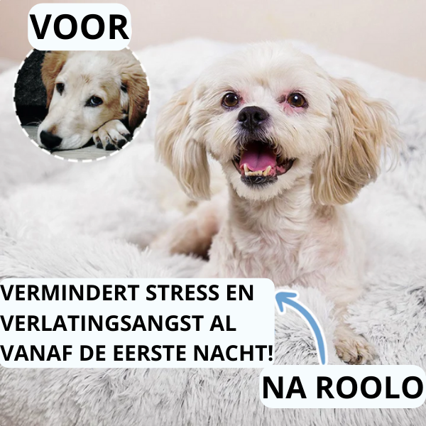 Flauschiges Hundebett