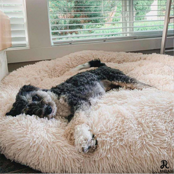 Flauschiges Hundebett