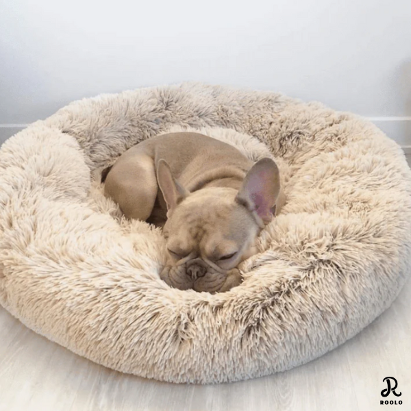 Flauschiges Hundebett