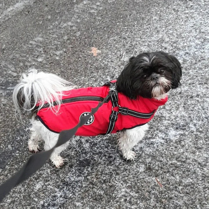 Dog Jacket - Bescherming tegen kou en regen