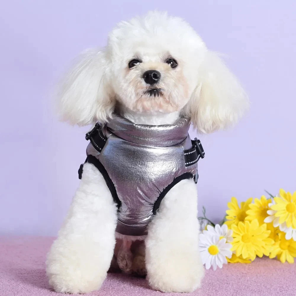 Dog Jacket - Bescherming tegen kou en regen