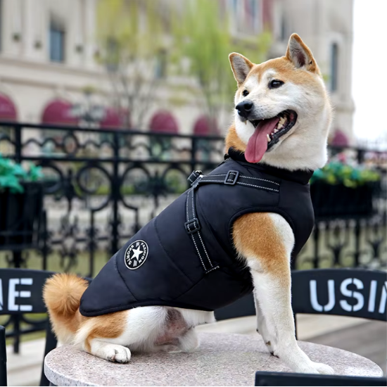 Dog Jacket - Bescherming tegen kou en regen
