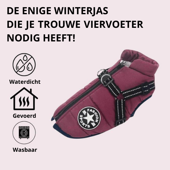 Dog Jacket - Bescherming tegen kou en regen