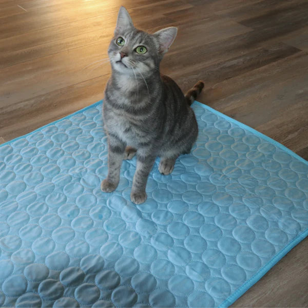 Pet Care - Verkoelingsmat