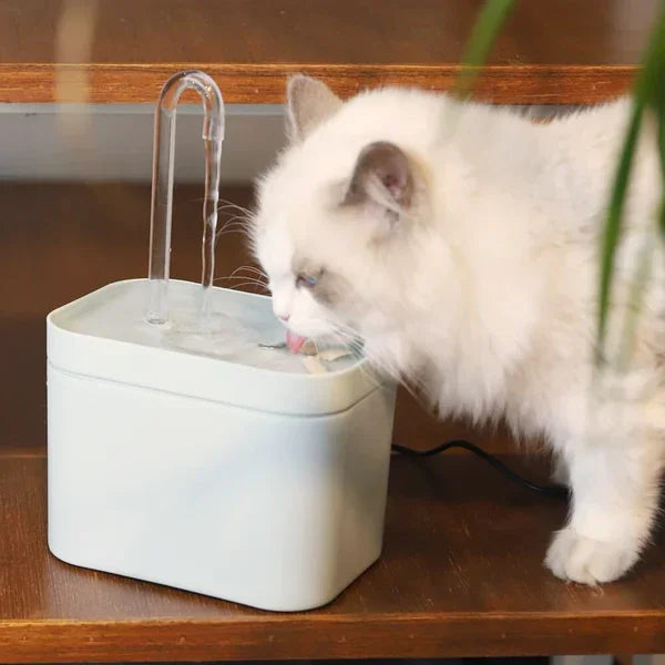 Trinkbrunnen für Katzen.