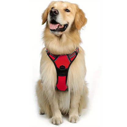 Dog Harness | Reflecterend