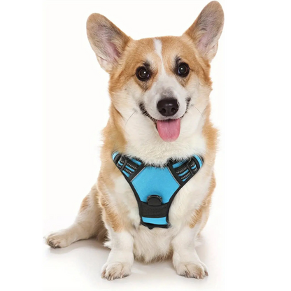 Dog Harness | Reflecterend