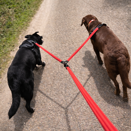 DuoLeash - Comfort & controle voor 2 honden