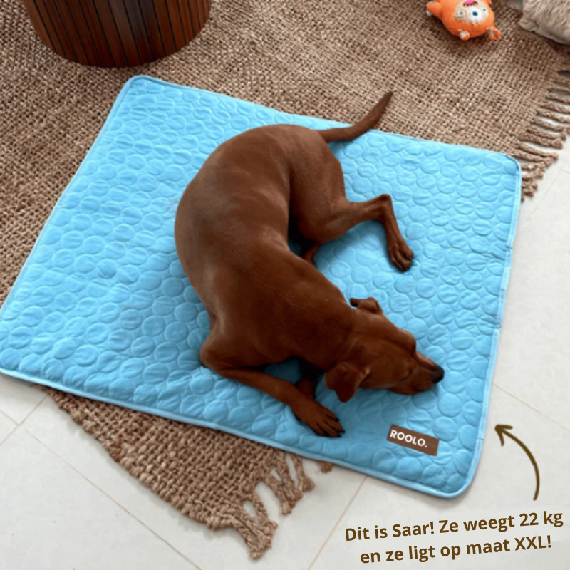 Pet Care - Verkoelingsmat