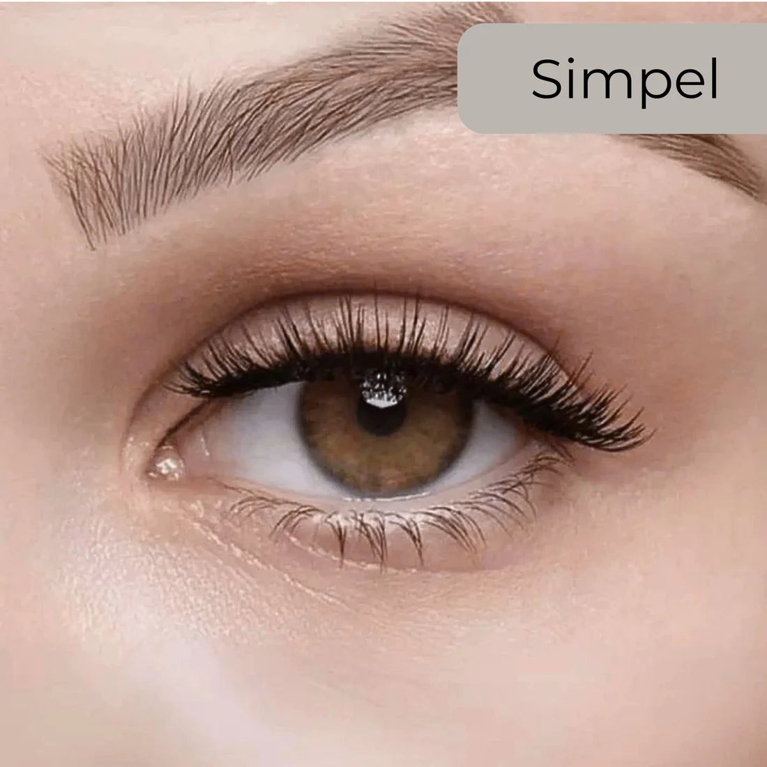 Magnetische Wimpern